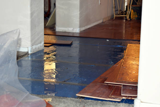 Professional Burst Pipe Cleanup technician working in Laporte, CO
